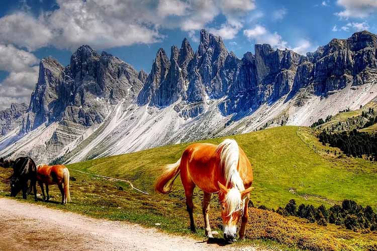 Wanderreisen Italien