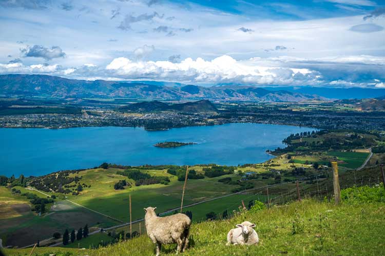 Busrundreise durch Neuseeland mit spektakulären Landschaften auf der Südinsel