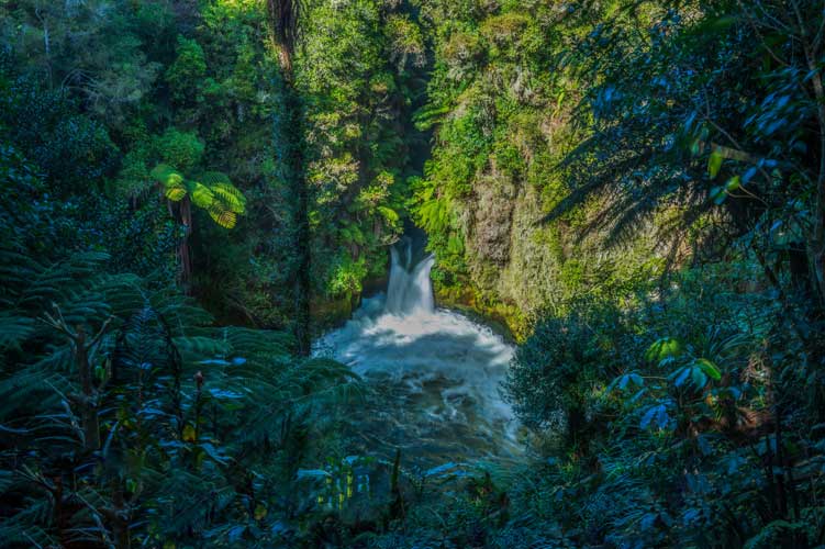 Gemeinsames Reisen auf einer Neuseeland Busrundreise mit erfahrenem Reiseleiter