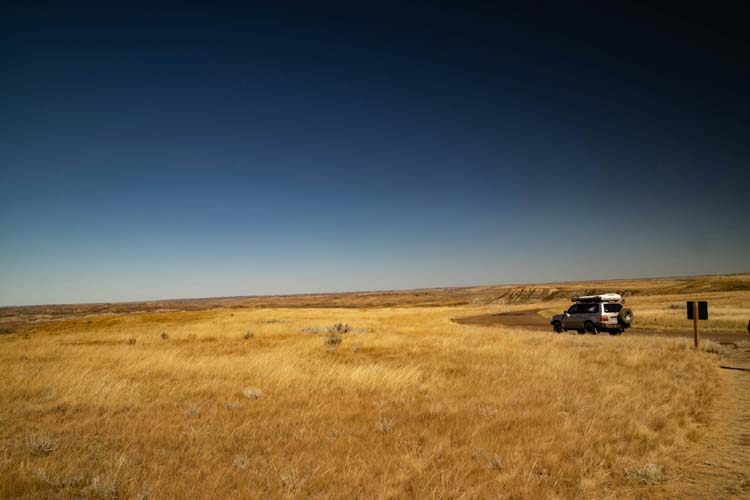 Die schönsten Roadtrips weltweit