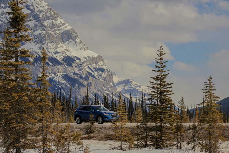 Die schönsten Roadtrips weltweit