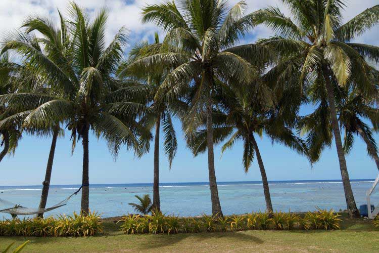 Cook Islands Palmenstrand