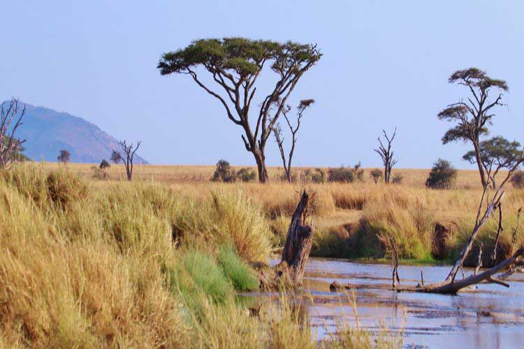 Tansania Landschaft
